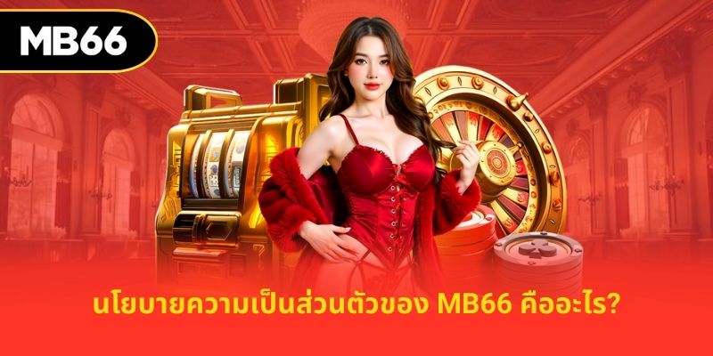 นโยบายความเป็นส่วนตัวของ MB66 คืออะไร?